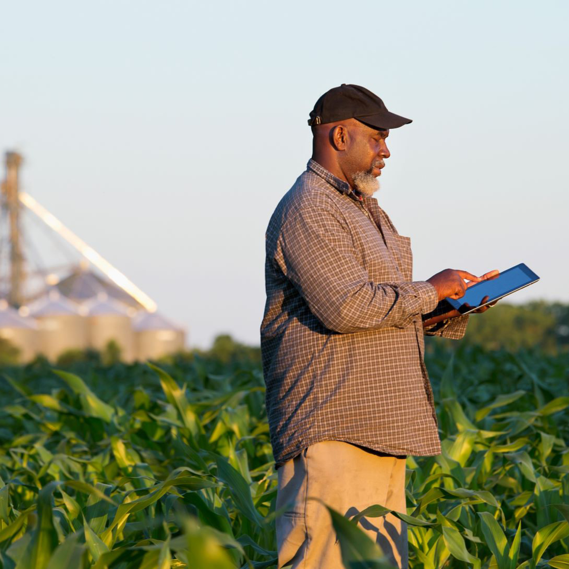 A person using a device in a field