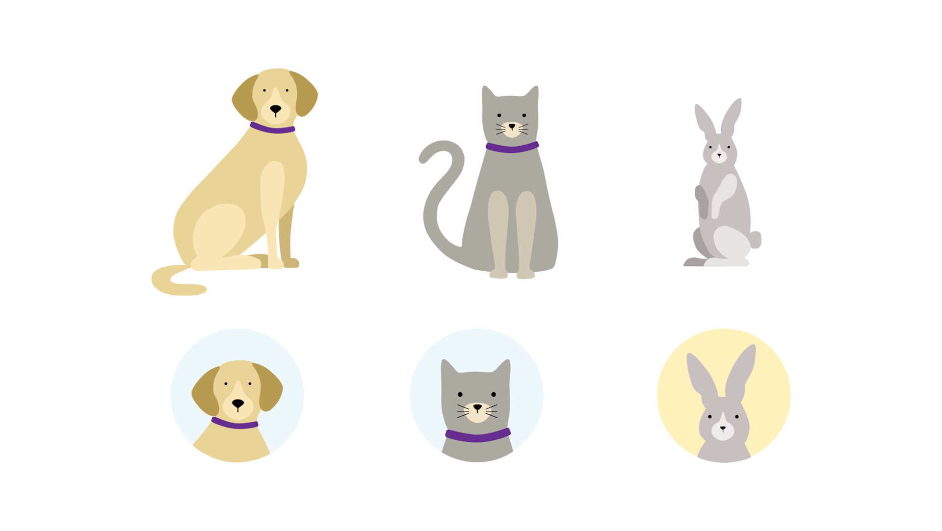 Illustrations of a dog, cat and rabbit, with the row below showing their faces framed on blue and yellow circular backgrounds.