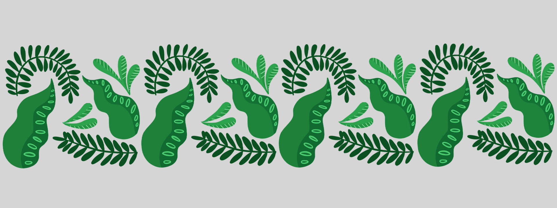 A variety of green leaves with ferns in curved shapes. 