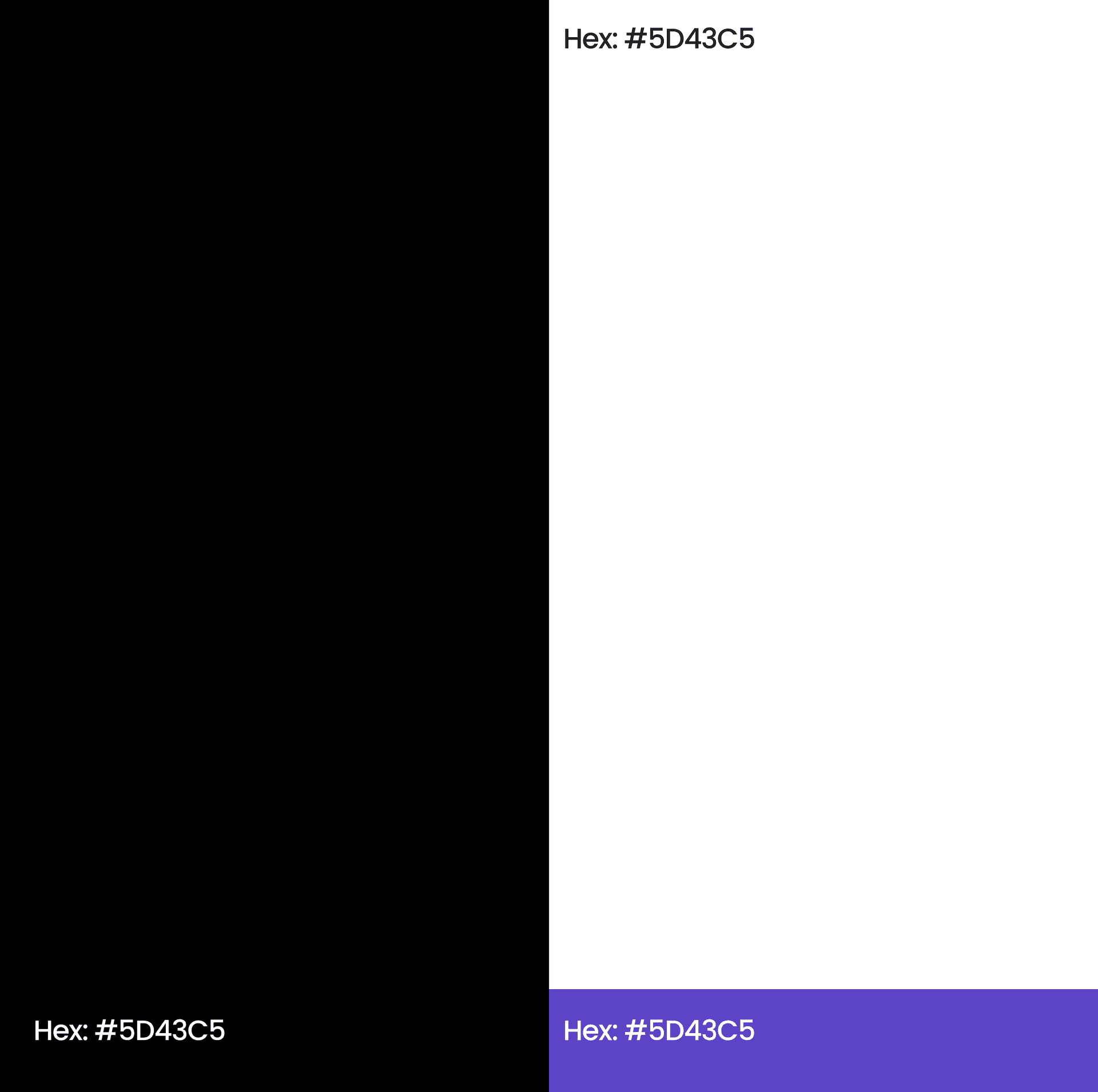 A digital brand palette A digital brand palette
