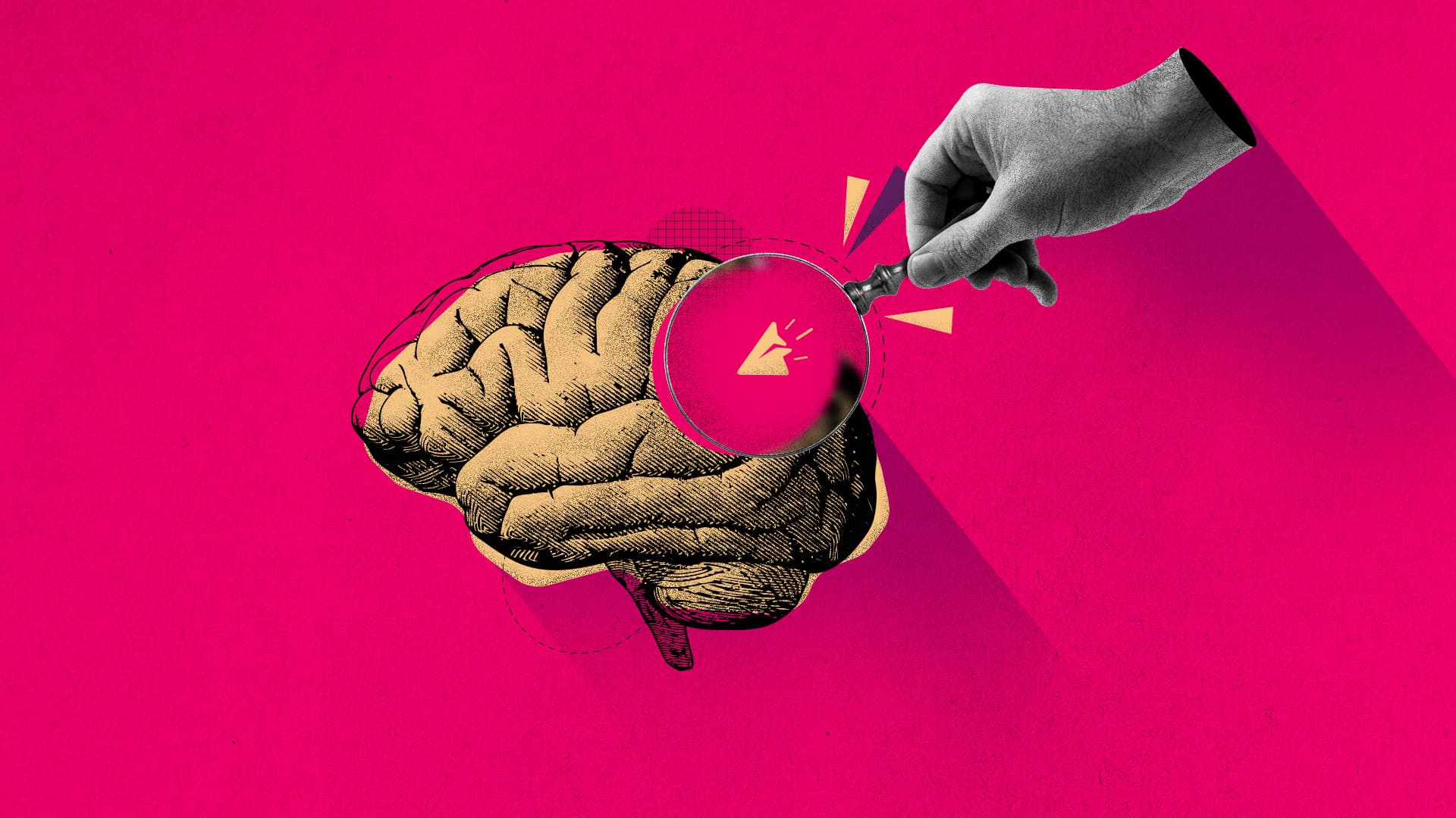A hand using a magnifying glass to spotlight a part of a brain A hand using a magnifying glass to spotlight a part of a brain