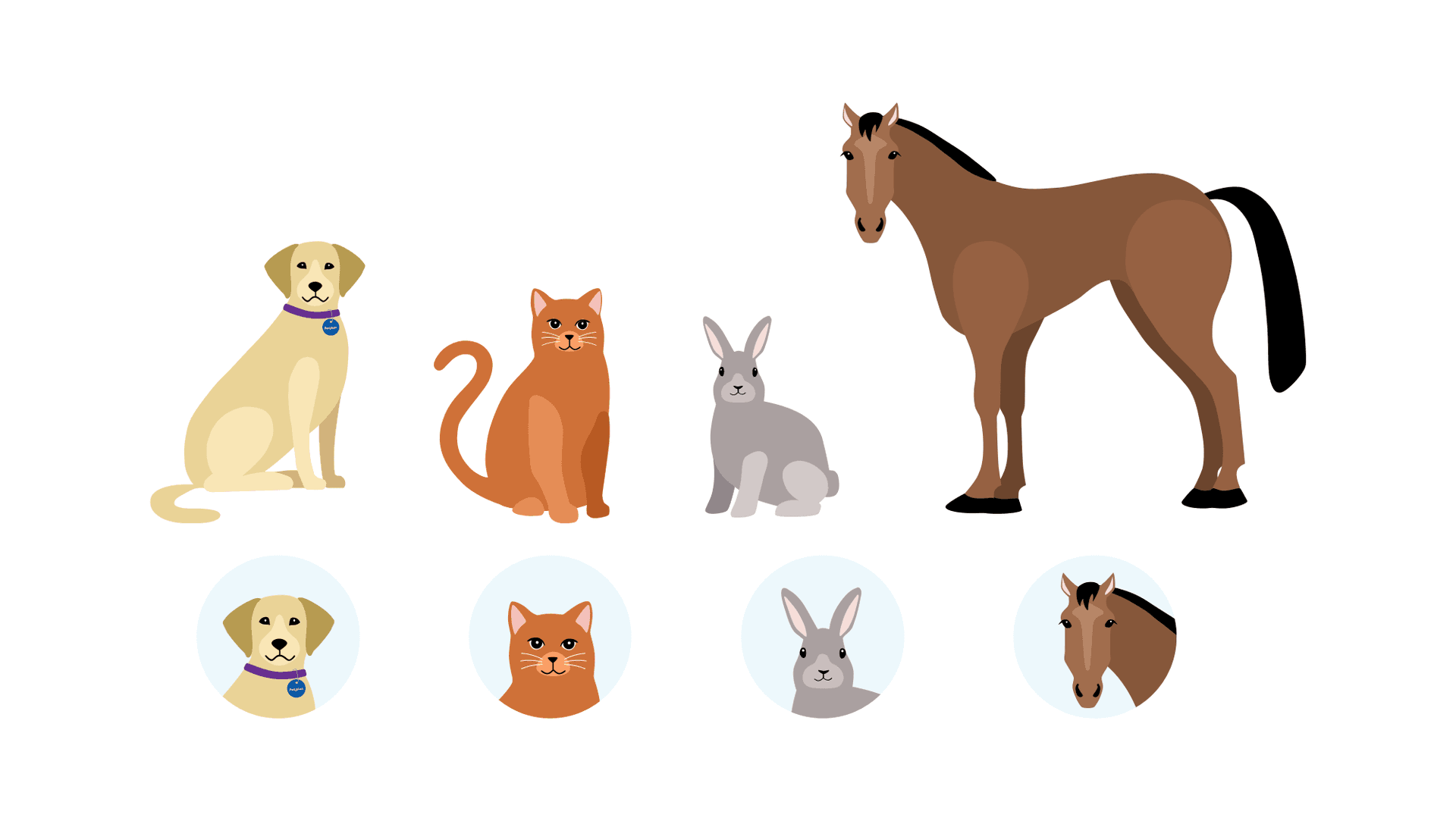Illustrations of a dog, cat, rabbit and horse, with the row below showing their faces framed on blue, circular backgrounds. Illustrations of a dog, cat, rabbit and horse, with the row below showing their faces framed on blue, circular backgrounds.