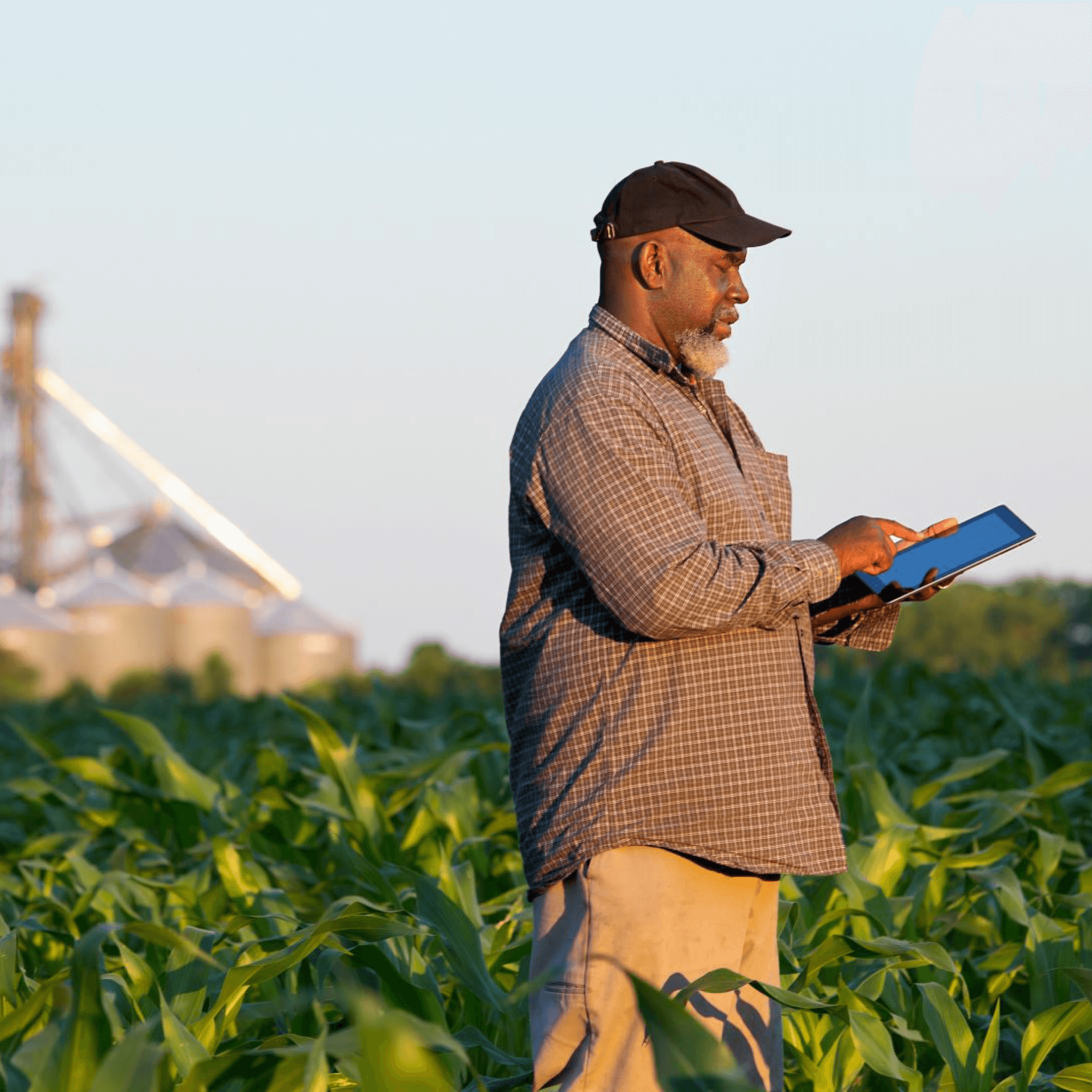 A person using a device in a field A person using a device in a field